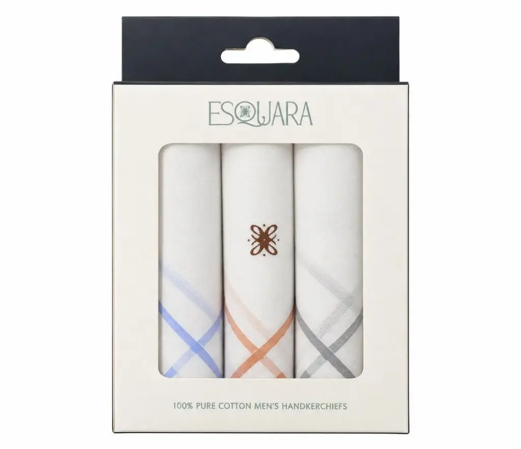 Men Handkerchief White+Color Border (Box of 3)
