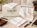 Men Handkerchief White+Color Border - D (Box of 12)